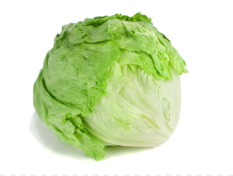 Iceberg lettuce Organic food Lettuce sandwich Salad Romaine lettuce - salad png download - 1200*900 - Free Transparent Iceberg Lettuce png Download.