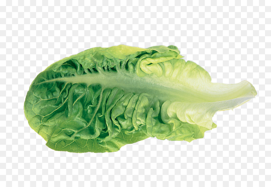 Romaine lettuce Leaf vegetable - lettuce png download - 1024*683 - Free Transparent Lettuce png Download.
