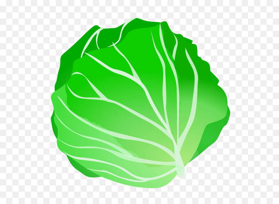 Vegetable Lettuce Fruit Clip art - Cabbage Transparent png download - 2400*2400 - Free Transparent Cabbage png Download.