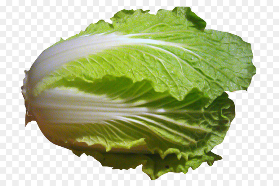 Romaine lettuce Spring greens Collard Greens Chinese cabbage Vegetable - vegetable png download - 800*600 - Free Transparent Romaine Lettuce png Download.