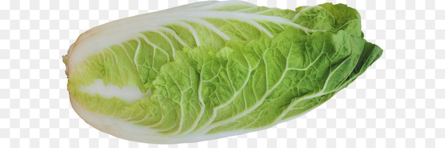 Fruit salad Chinese chicken salad Macaroni salad Coleslaw - Salad PNG image png download - 3800*1710 - Free Transparent Iceberg Lettuce png Download.