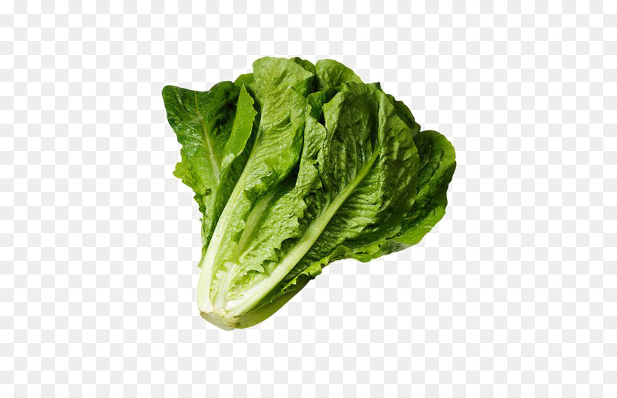Wrap Iceberg lettuce Lettuce sandwich Romaine lettuce Salad - Bun with lettuce png download - 564*564 - Free Transparent Wrap png Download.