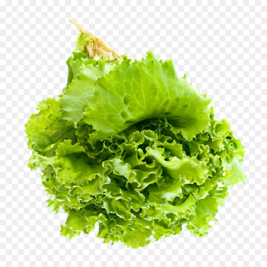 Vegetable Lettuce Clip art - Salad Leaf png download - 1253*1228 - Free Transparent Caesar Salad png Download.