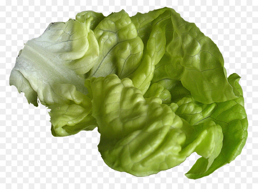Romaine lettuce - Lettuce png download - 1359*985 - Free Transparent Lettuce Sandwich png Download.