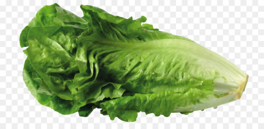 Greek salad Lettuce sandwich Clip art Portable Network Graphics - salad png download - 800*426 - Free Transparent Greek Salad png Download.