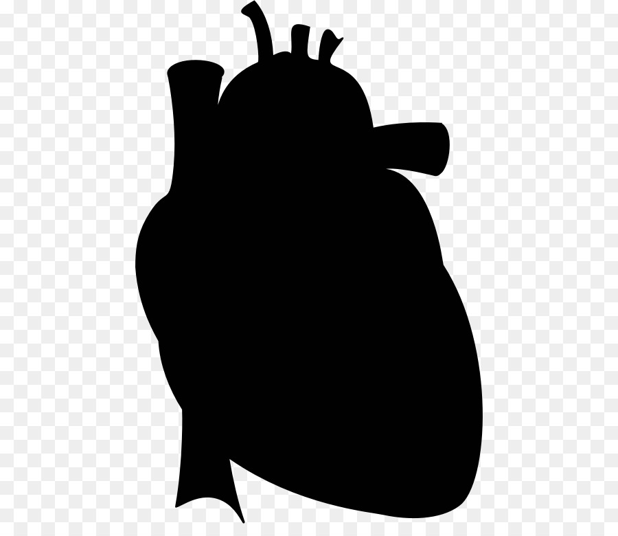 Heart Silhouette Drawing Anatomy Clip art - heart-shaped silhouette png download - 506*762 - Free Transparent  png Download.