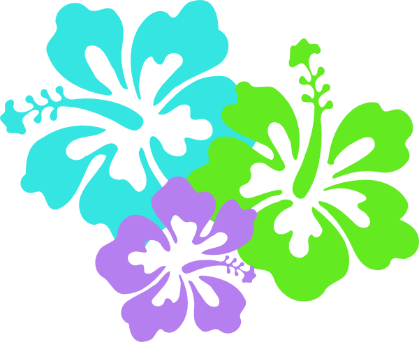 Hawaiian hibiscus Flower Clip art - Hibiscus Flower Design png download ...