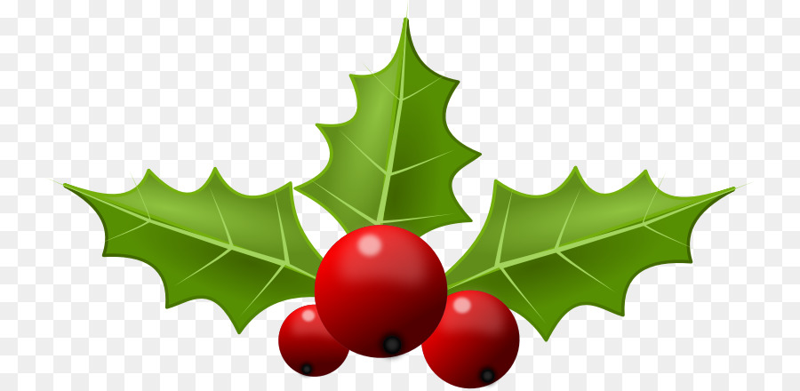 Common holly Christmas Free content Clip art - Holly Cliparts png download - 800*439 - Free Transparent Common Holly png Download.