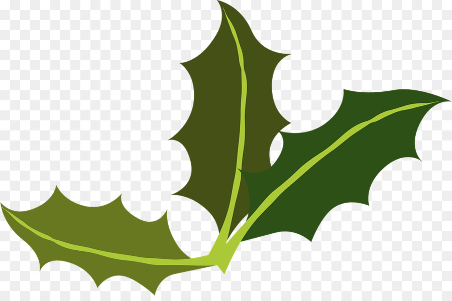 Yaupon Holly leaf miner Common holly Clip art - Leaf png download - 960*628 - Free Transparent Yaupon png Download.