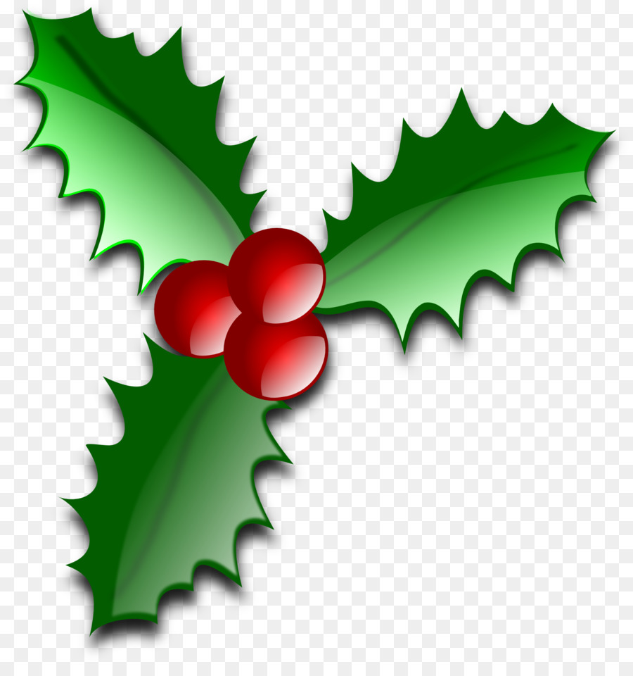 Common holly Christmas tree Leaf Clip art - Many Holiday Cliparts png download - 1969*2071 - Free Transparent Common Holly png Download.