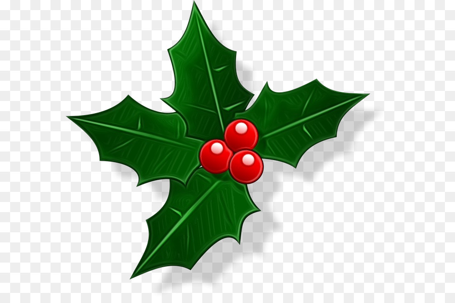 Common holly Christmas Day Clip art Vector graphics Image -  png download - 640*595 - Free Transparent Common Holly png Download.