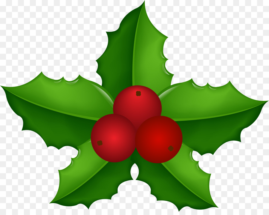 American Holly Common holly Vector graphics Royalty-free Stock illustration - available banner png download - 8000*6305 - Free Transparent American Holly png Download.