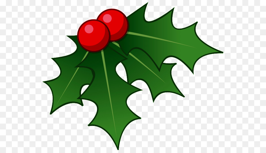 Common holly Christmas Clip art - christmas png download - 627*517 - Free Transparent Common Holly png Download.