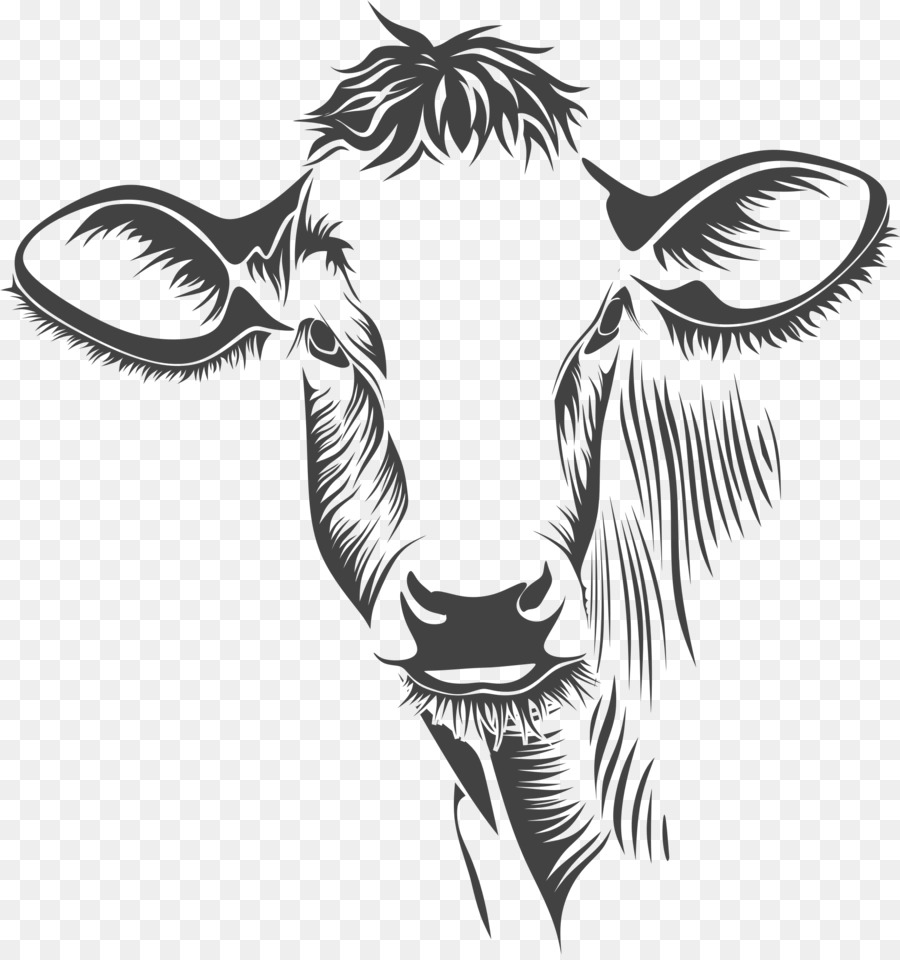 Holstein Friesian cattle Charolais cattle Gelbvieh Line art Clip art - Silhouette png download - 2096*2224 - Free Transparent Holstein Friesian Cattle png Download.