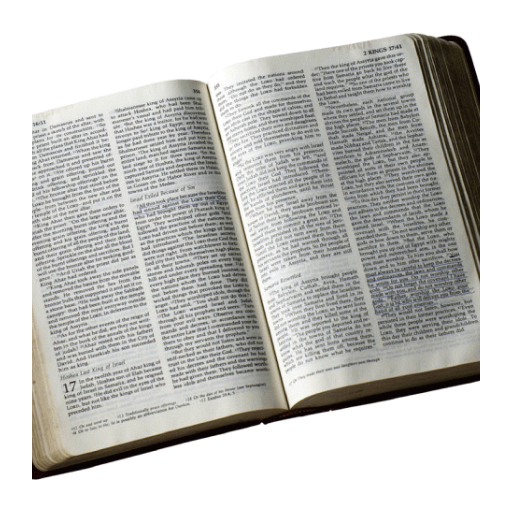 Holy Bible: King James Version : Old and New Testaments The Message ...