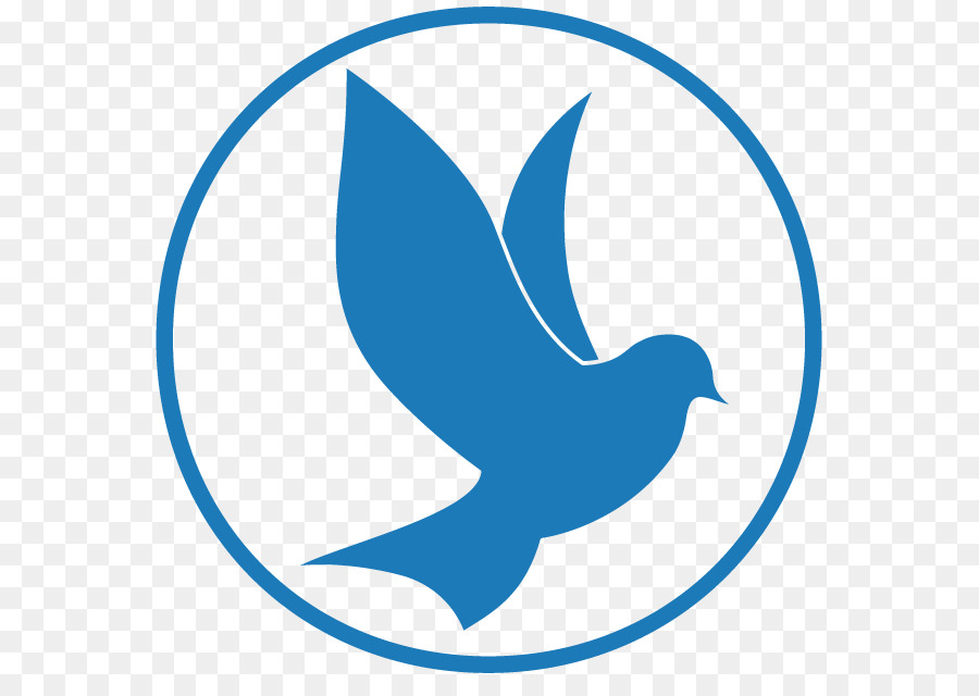 Computer Icons Holy Spirit in Christianity Icon - DOVE png download - 625*625 - Free Transparent Computer Icons png Download.