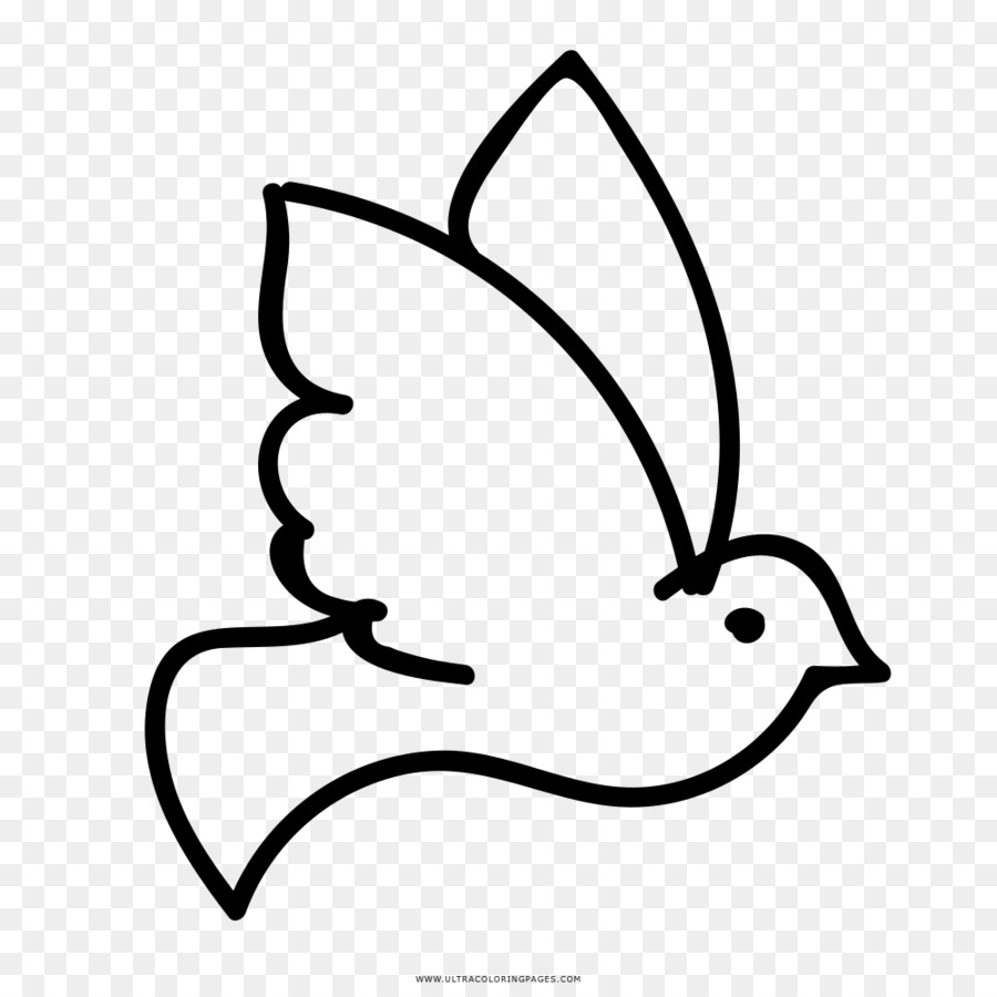 Rock dove Columbidae Coloring book Drawing Ausmalbild - holy spirit dove png download - 1000*1000 - Free Transparent Rock Dove png Download.