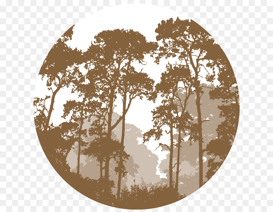 Vector graphics Illustration Forest Landscape Silhouette -  png download - 700*700 - Free Transparent Forest png Download.