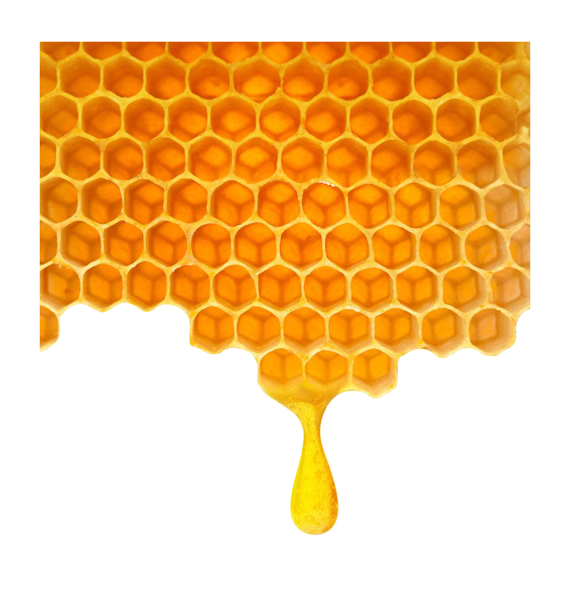 Bee Honeycomb - Poly honey honeycomb png download - 1133*1190 - Free ...