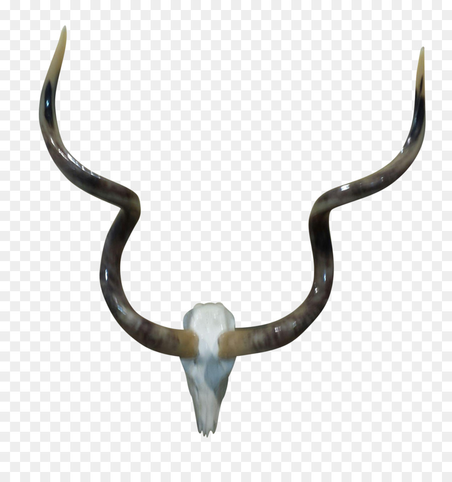 Horns Transparent Background