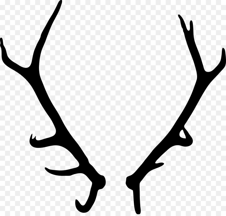 Elk Deer Antler Drawing - deer png download - 1920*1819 - Free Transparent Elk png Download.