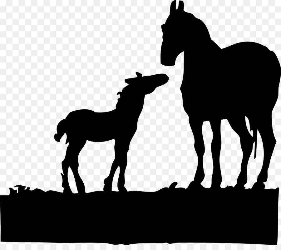 Foal Mare American Quarter Horse Colt Clip art - Silhouette png download - 1200*1046 - Free Transparent Foal png Download.