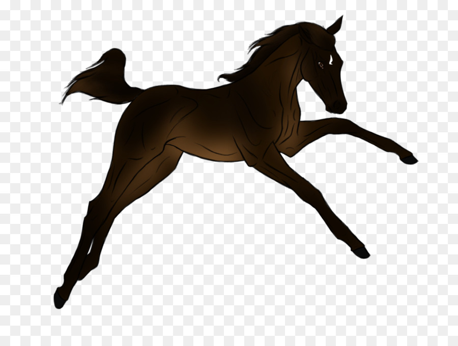 Foal Horse Stallion Pony Mane - Reining Horse Silhouette png download - 900*670 - Free Transparent Foal png Download.