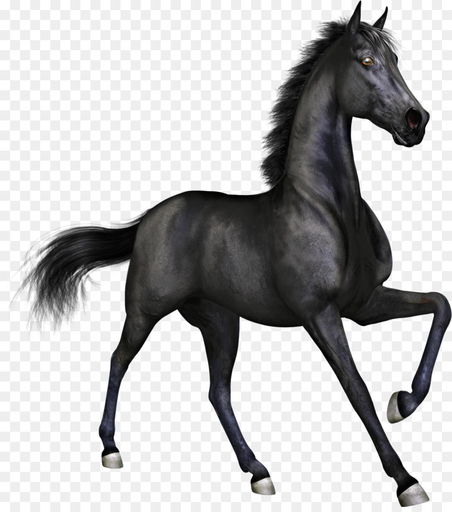 Horse Stallion Mare Black Clip art - Family Horse Cliparts png download - 2223*2495 - Free Transparent Horse png Download.
