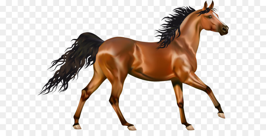 Arabian horse Pony Equestrianism Clip art - Transparent Brown Horse PNG Clipart png download - 4700*3210 - Free Transparent Arabian Horse png Download.