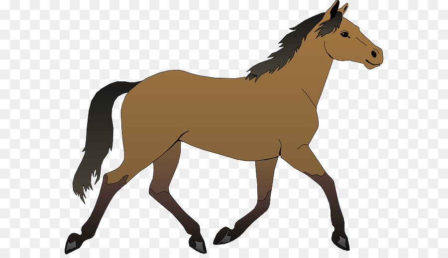 Horse Pony Foal Clip art - horse png download - 640*513 - Free Transparent Horse png Download.