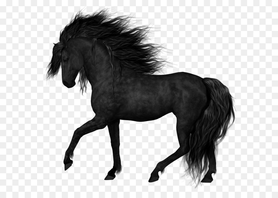 Horse Black Clip art - Black Horse PNG Clipart Picture png download - 1594*1555 - Free Transparent Mustang png Download.