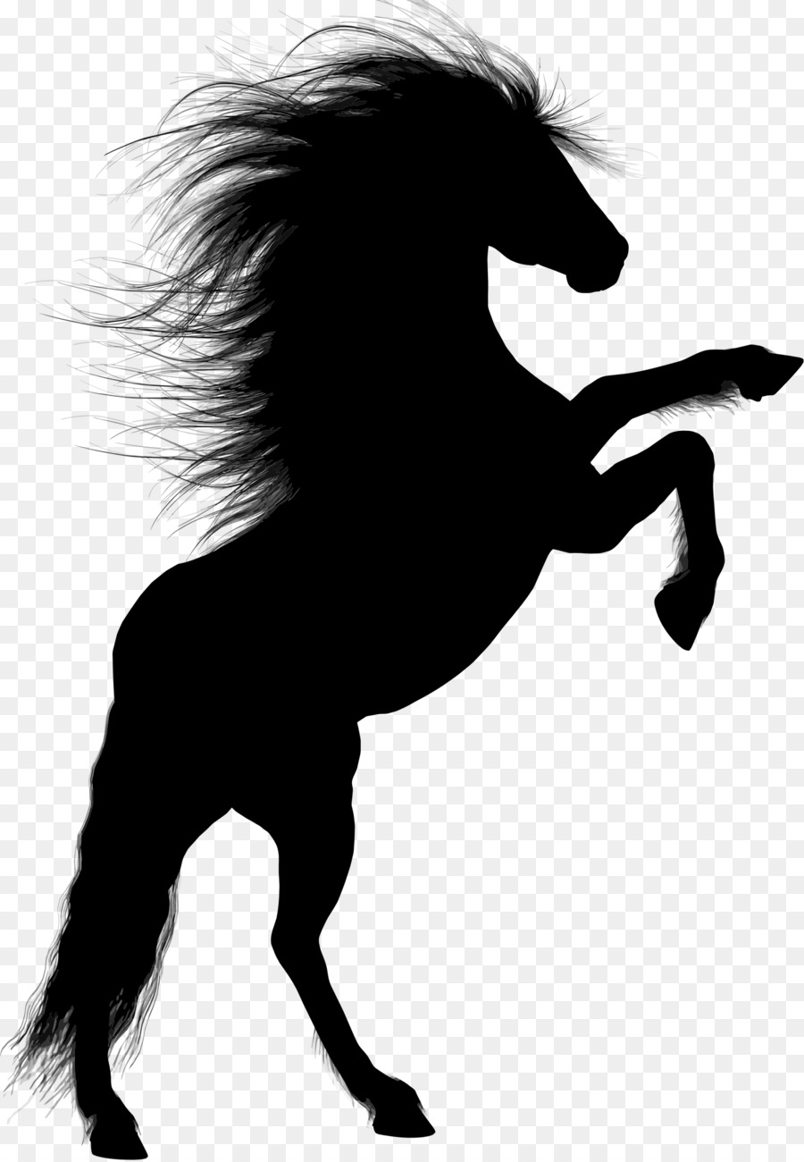 Horse Stallion Rearing Silhouette - horse png download - 1587*2289 - Free Transparent Horse png Download.