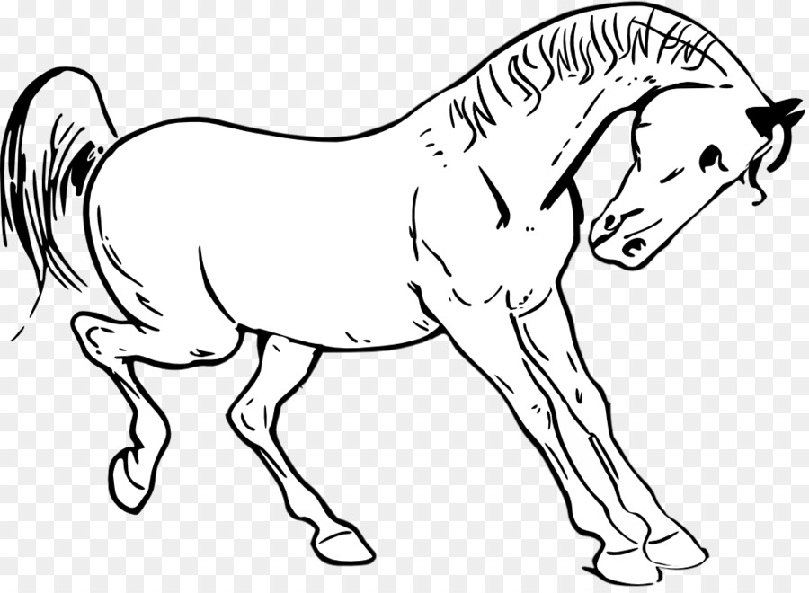 Tennessee Walking Horse Show jumping Clip art - Kangaroo Outline png download - 1000*725 - Free Transparent Tennessee Walking Horse png Download.
