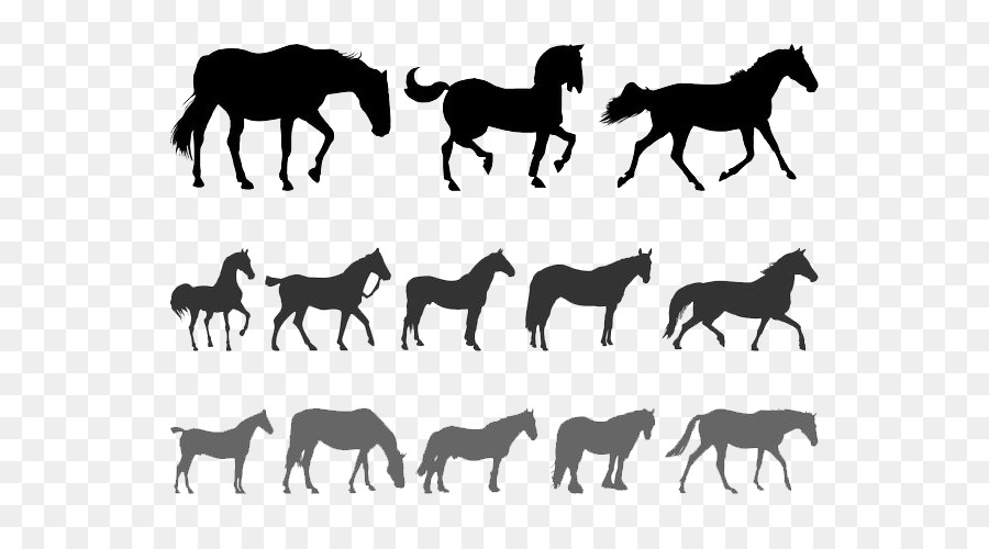 Horse Silhouette Equestrianism Clip art - Animal Silhouettes png download - 700*490 - Free Transparent Horse png Download.