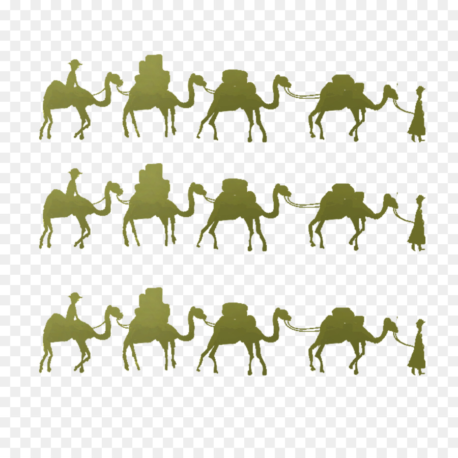 Camel One Belt One Road Initiative Horse Maritime Silk Road - Camel lot png download - 1181*1181 - Free Transparent Camel png Download.