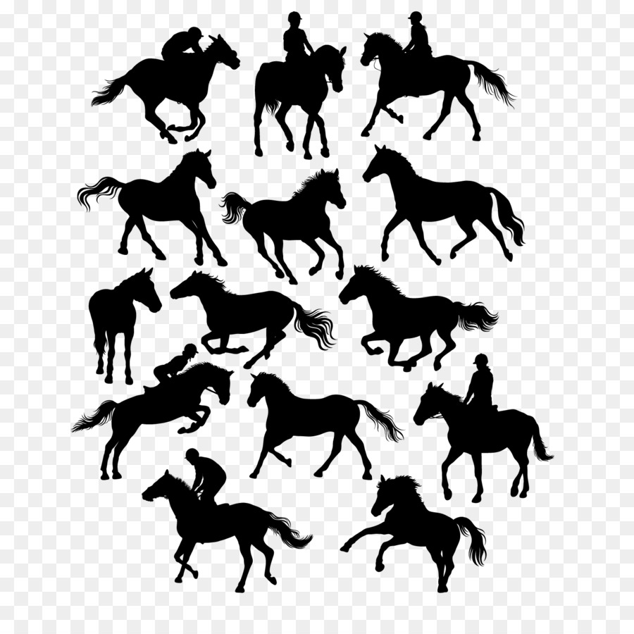 Horse Euclidean vector Equestrianism Illustration - 14 creative equestrian horse with silhouette vector material png download - 1500*1500 - Free Transparent Horse png Download.