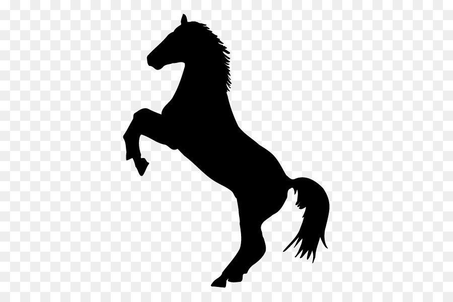 Horse Decal Sticker Rearing Stallion - horse png download - 600*600 - Free Transparent Horse png Download.