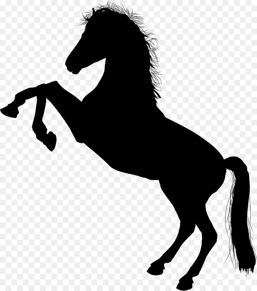 Standing Horse Stallion Rearing Clip art - horse png download - 1131*1280 - Free Transparent Horse png Download.