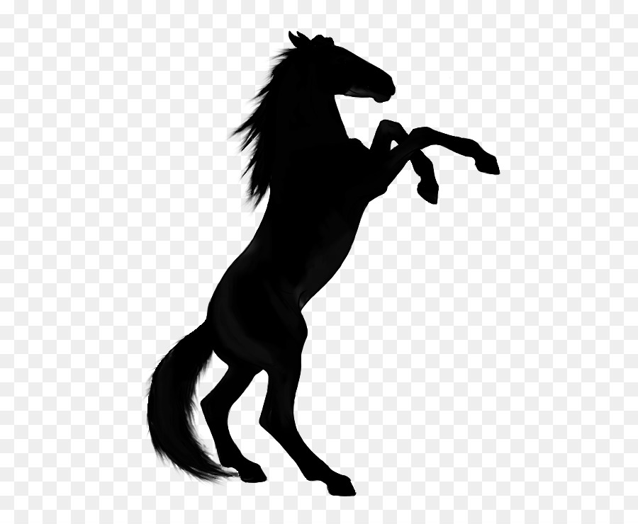 Arabian horse Rearing Stallion Vector graphics Clip art -  png download - 561*739 - Free Transparent Arabian Horse png Download.