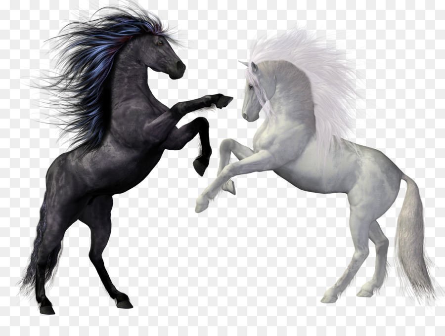 Horse Rearing Stallion Equestrian Unicorn - horse png download - 1280*960 - Free Transparent Horse png Download.