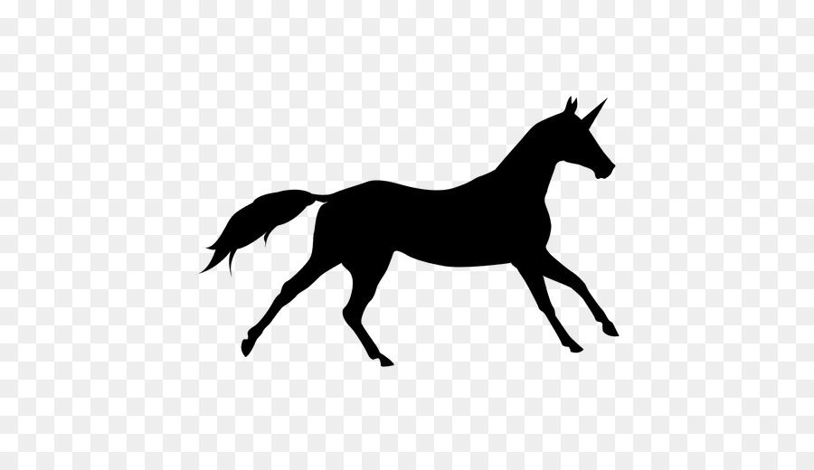 Horse Silhouette Clip art - unicornio png download - 512*512 - Free Transparent Horse png Download.