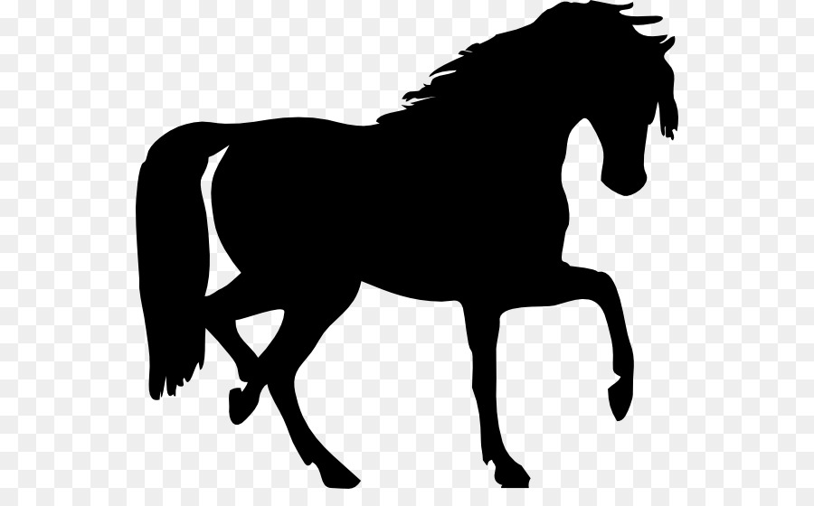 Arabian horse Silhouette Clip art - Royal Horse Cliparts png download - 600*541 - Free Transparent Arabian Horse png Download.