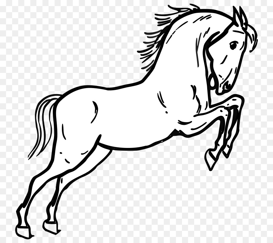 Tennessee Walking Horse Morgan horse Clip art - Animal Outline png download - 800*800 - Free Transparent Tennessee Walking Horse png Download.
