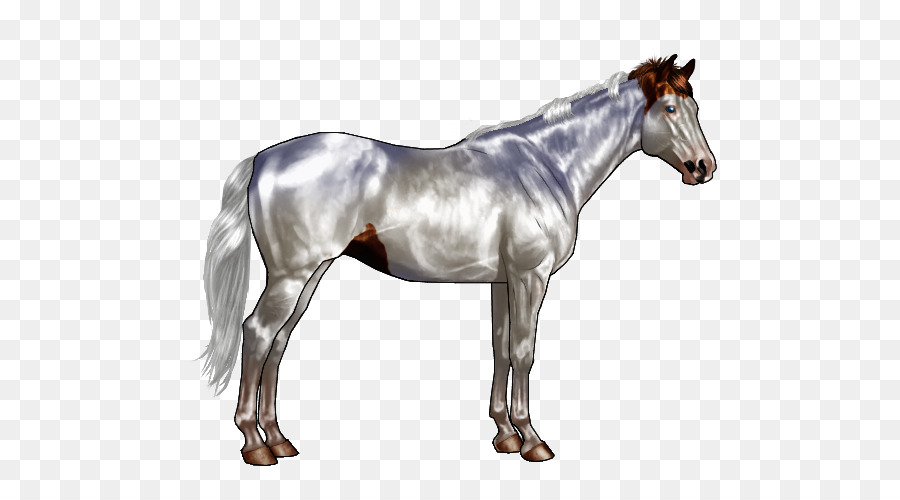 Sabino horse Pony Chestnut Equine coat color - horse png download - 600*500 - Free Transparent Horse png Download.