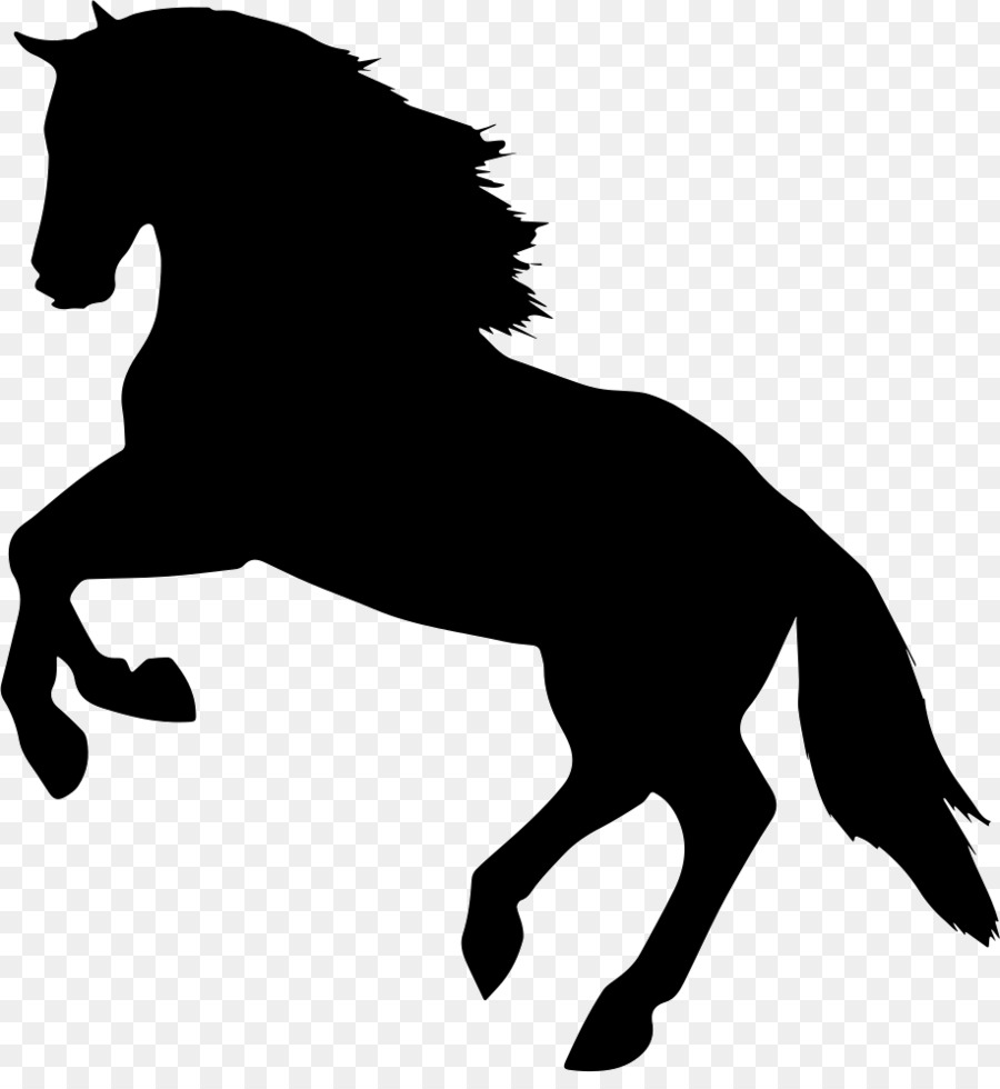 Instant Download SVG: Appaloosa Horse Image for Cricut, Silhouette