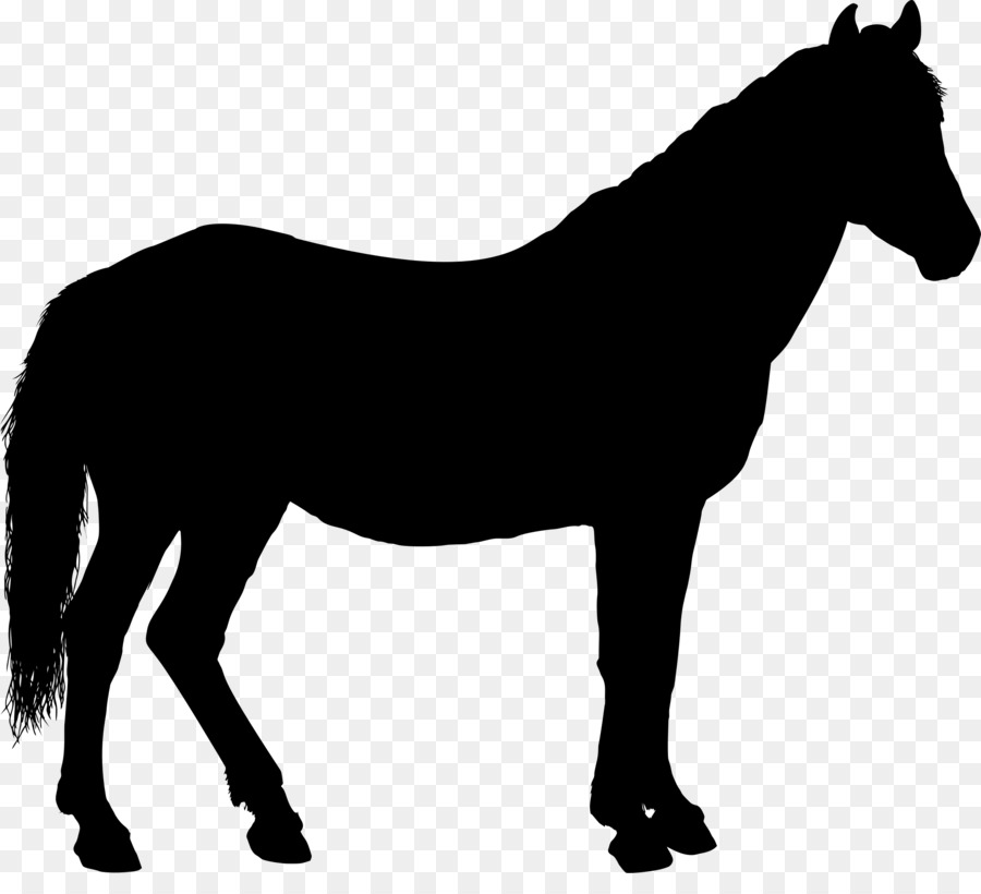 Mustang Stallion Clip art - Standing Horse Silhouette PNG Transparent Clip Art Image png download - 7744*8000 - Free Transparent Mustang png Download.