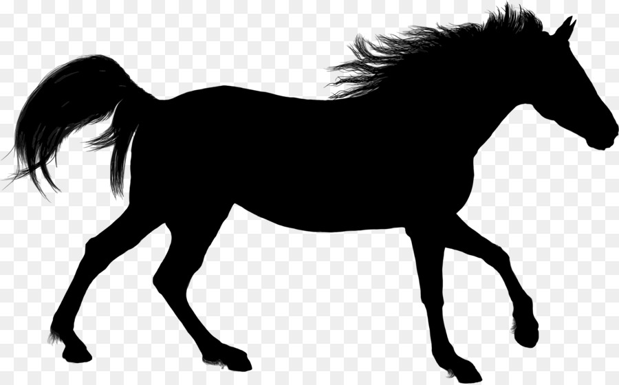 Silhouette Unicorn Scalable Vector Graphics Clip art - Unicorn Silhouette PNG Clip Art png download - 8000*7278 - Free Transparent Horse png Download.