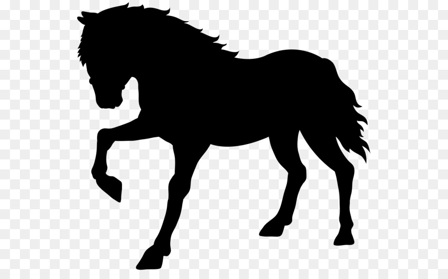 Horse Icon - Horse Silhouette Vector png download - 512*512 - Free ...