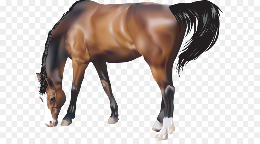 Horse Rearing Illustration - brown horse png image, free download picture, transparent background png download - 900*900 - Free Transparent Horse png Download.