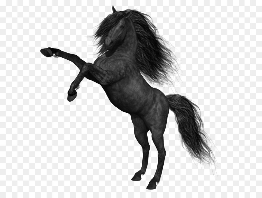 Mustang Black - Black Horse PNG Picture png download - 1622*1654 - Free Transparent Mustang png Download.